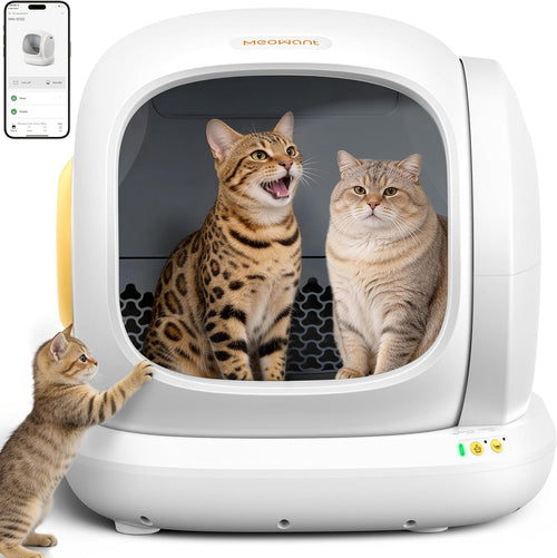 MeoWant Self-Cleaning Cat Litter Box for Multi Cats - 75L Extra Large Open Automatic Cat Box with Mat & Liner, Smart Odor Removal and APP Control