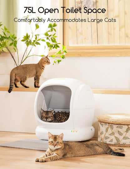 MeoWant Self-Cleaning Cat Litter Box for Multi Cats - 75L Extra Large Open Automatic Cat Box with Mat & Liner, Smart Odor Removal and APP Control
